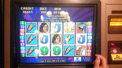 Slots bets casino Brazil